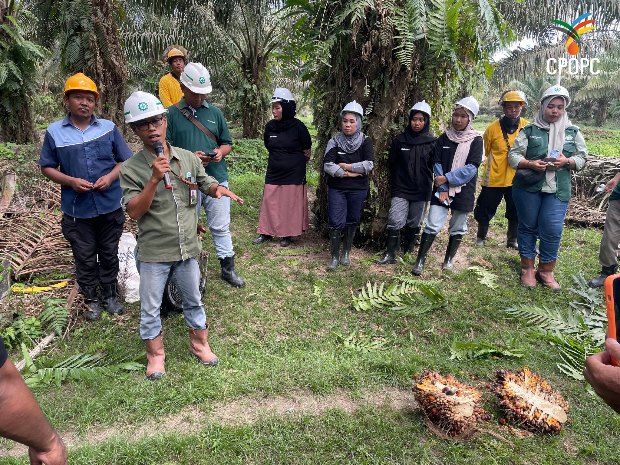GAP Training in Pasangkayu, West Sulawesi CPOPC.net