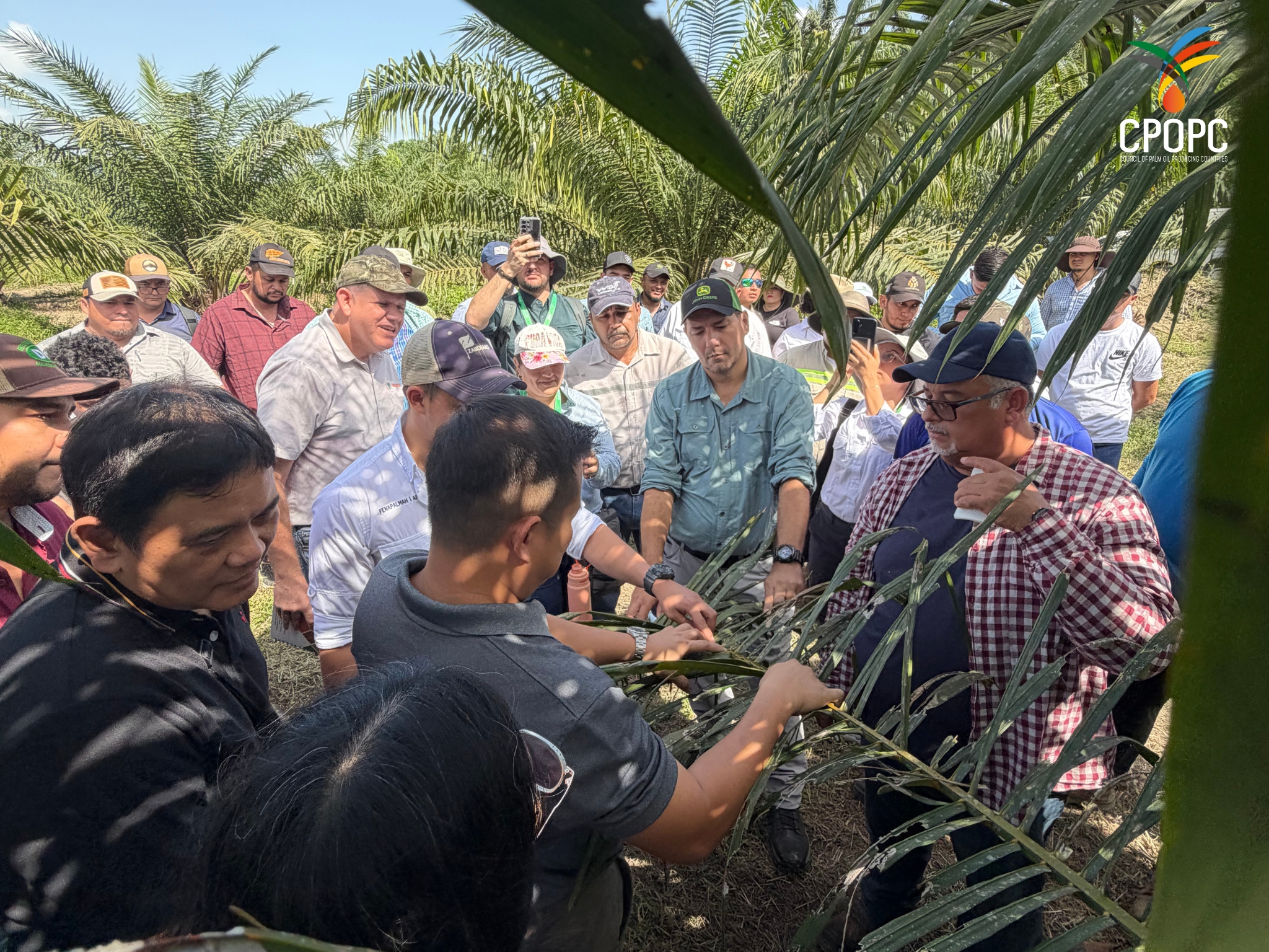 Good Agricultural Practices (GAP) Training in El Progreso, Honduras CPOPC.net