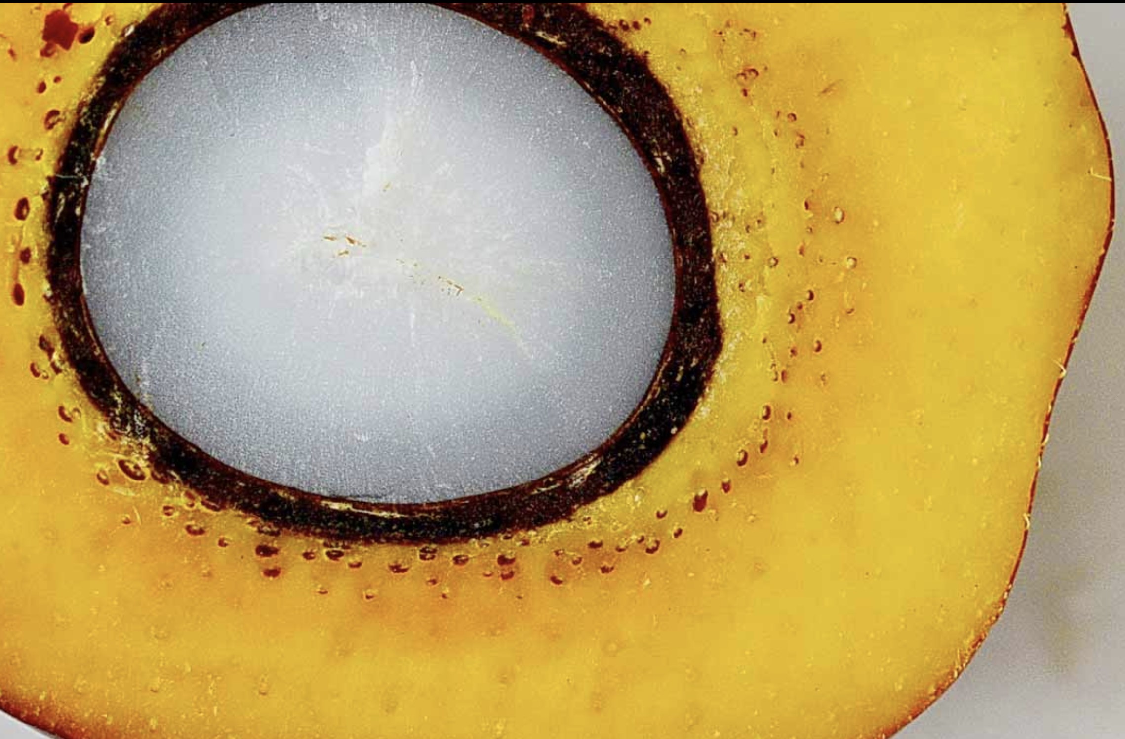 Statement by the Secretariat of CPOPC on an Objection Letter to IKEA Due to Selling Children�s Book Contained with False Information on Palm Oil