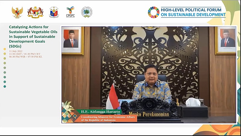 The Side-Event during the 2022 ECOSOC HLPF �Catalyzing Actions for Sustainable Vegetable Oils in Support of SDGs�