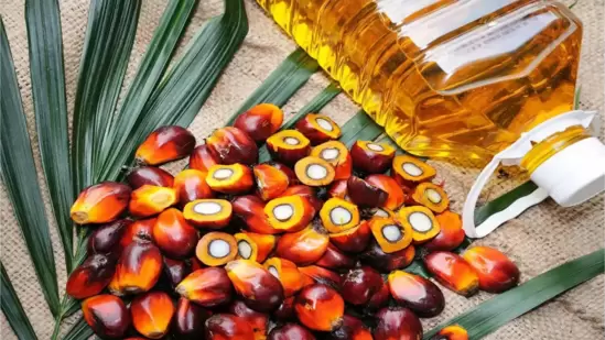 Palm Oil: Time to Rethink the Narrative