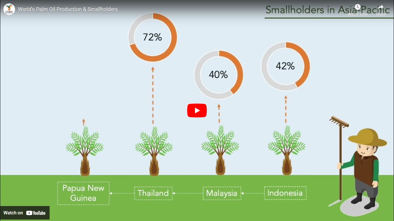 Worlds Palm Oil Production & Smallholders CPOPC.net