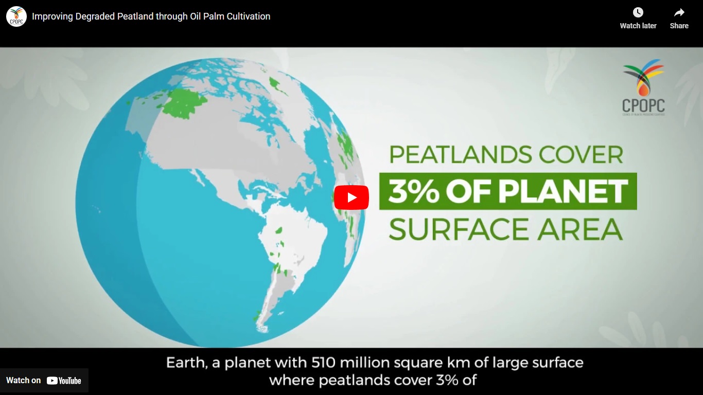 Improving Degraded Peatland through Oil Palm Cultivation CPOPC.net